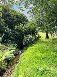 Wunderschönes Baugrundstück in Bendestorf