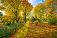 Traum vom Eigenheim verwirklichen – Wunderschönes Baugrundstück in Maschen