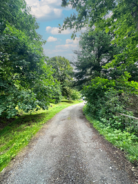 Leben auf einer Ebene: Stilvoller Winkelbungalow in Bendestorf